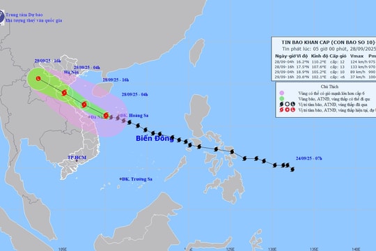 Bão số 10 áp sát đất liền miền Trung, Hà Nội mưa hơn 350mm
