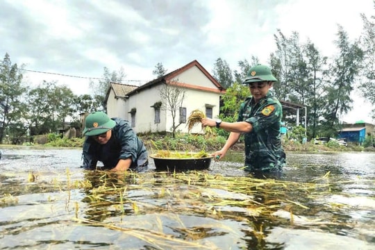 Triển khai quyết liệt công tác ứng phó với nguy cơ triều cường, mưa lũ, ngập lụt...