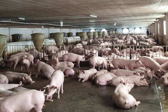 Lập bản đồ các giải pháp giảm phát thải khí mê-tan