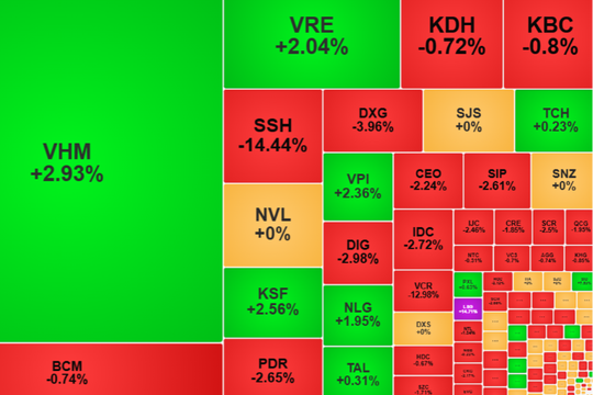 Thị trường "xanh vỏ đỏ lòng": VIC, VHM gánh điểm cho VN-Index