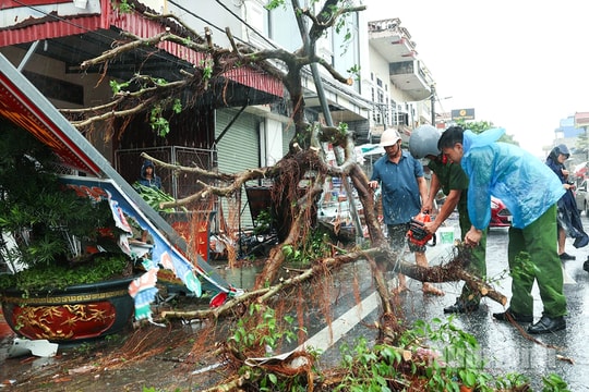 Bão số 10 gây thiệt hại nặng tại tỉnh Ninh Bình
