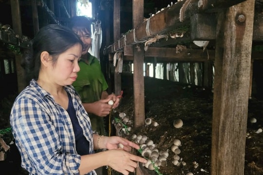 Khai thác "kho báu ẩn mình" trong phụ phẩm nông nghiệp