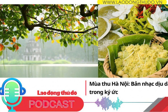 Mùa thu Hà Nội Bản nhạc dịu dàng trong ký ức