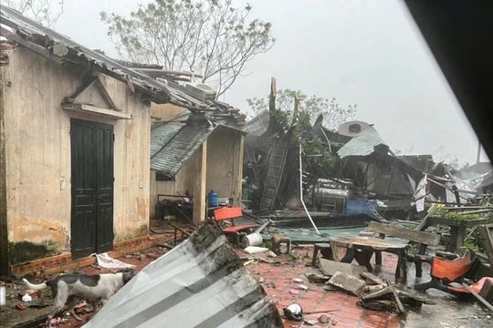 Bí thư Chi bộ thôn tử vong trong quá trình tham gia chống bão số 10