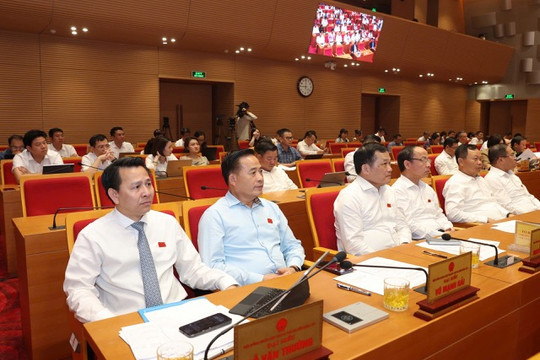 Hà Nội giảm hơn 1.000 ha đất chưa sử dụng so với năm 2020