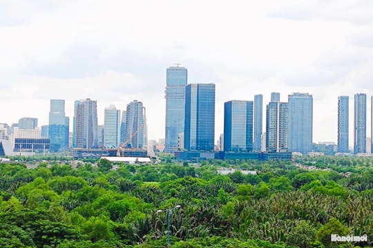 TP Hồ Chí Minh: Thống nhất quy định đấu thầu lựa chọn nhà đầu tư có sử dụng đất