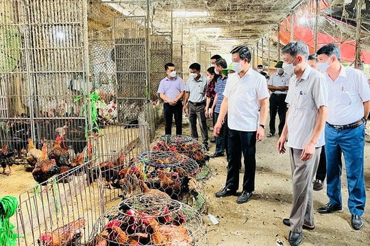 Kiểm soát nông, lâm, thủy sản bảo đảm an toàn thực phẩm tại chợ