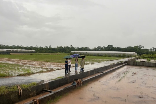 Xã Phúc Lộc: Mưa lớn làm ngập úng và sạt lở nhiều tuyến đường, mương tiêu