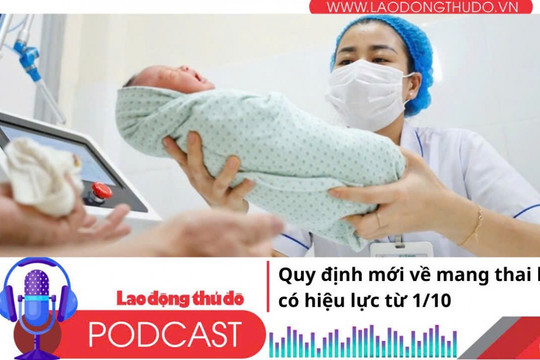 Điểm những tin nổi bật tối ngày 30/9/2025: Quy định mới về mang thai hộ có hiệu lực từ 1/10