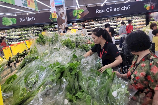Giá rau xanh ổn định, siêu thị đầy ắp rau củ tươi