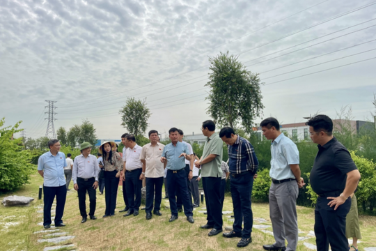 Từng bước tháo gỡ "điểm nghẽn" trong quá trình chuyển đổi xanh
