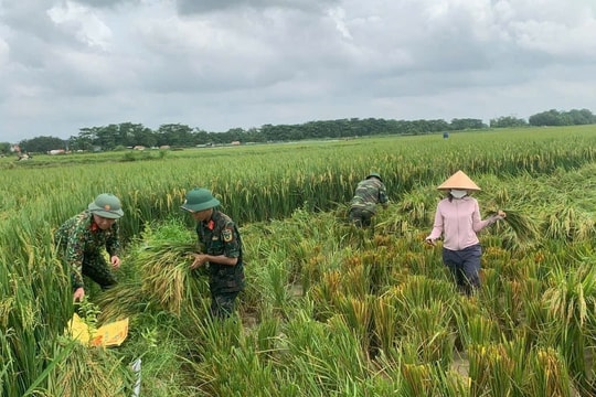 Điểm tựa vững chắc cho Nhân dân Thủ đô vượt qua mưa, bão