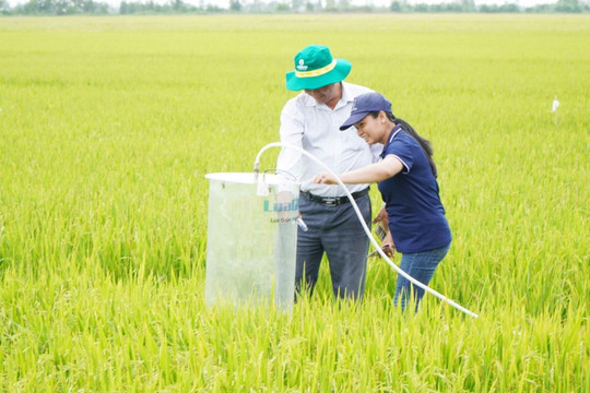 Ứng dụng kỹ thuật canh tác nông nghiệp thông minh giúp giảm phát thải khí mê-tan