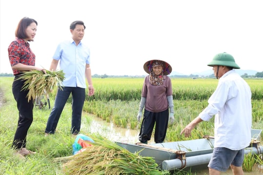 Hà Nội chủ động, quyết liệt ứng phó mưa bão số 10