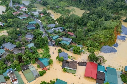 Bão số 10 khiến 194 người thương vong và mất tích, gây thiệt hại 8.780 tỷ đồng