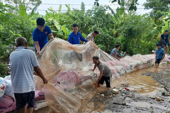 Xã Nam Phù: Nhân dân đồng lòng, chính quyền sát cánh ứng phó bão số 10