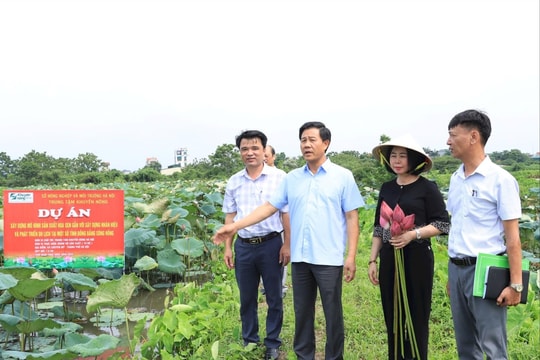 Sở Nông nghiệp và Môi trường Hà Nội thực hiện 39 nhóm nhiệm vụ