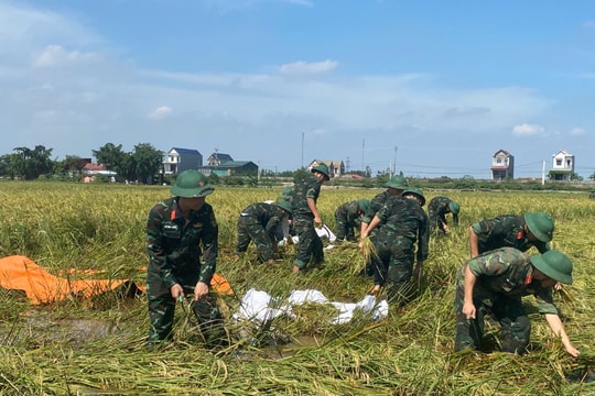 260 cán bộ, chiến sĩ công an, quân đội giúp nhân dân xã Trần Phú gặt lúa