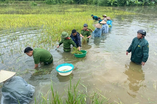 Thủ tướng yêu cầu hỗ trợ nhân dân sửa nhà, cơ sở hạ tầng thiết yếu hoàn thành trước 5-10