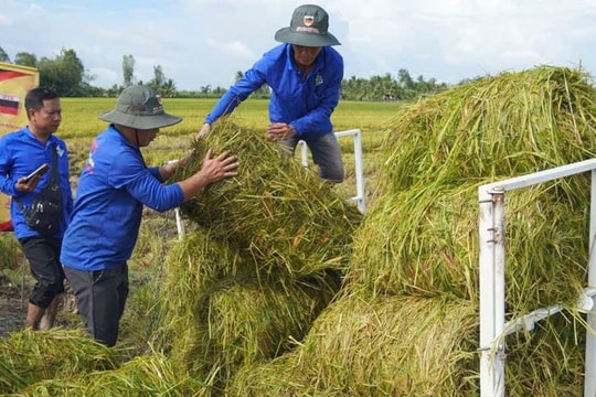 Vận hành hệ thống giám sát phát thải khí mê-tan trong trồng trọt