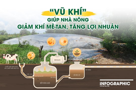 "Vũ khí" giúp nhà nông giảm khí mê-tan, tăng lợi nhuận