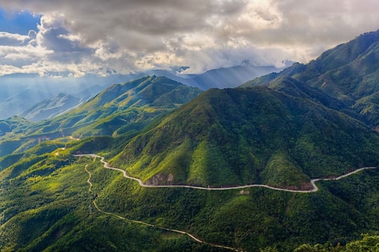 Giữ rừng, bảo vệ rừng chính là bảo vệ lá phổi của trái đất