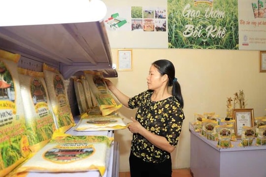 Xây dựng thương hiệu nông sản an toàn - hướng phát triển bền vững