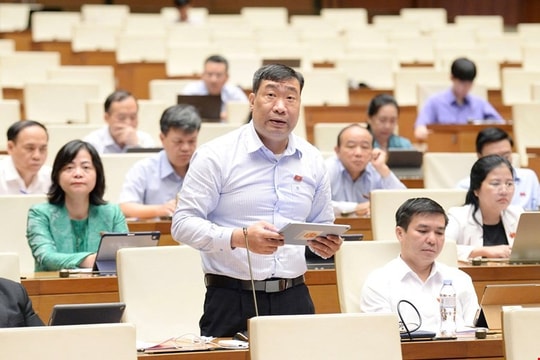 Đề xuất luật hóa cơ chế miễn, giảm trách nhiệm cho viên chức dám nghĩ, dám làm
