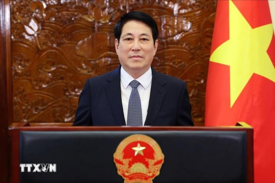 Chủ tịch nước Lương Cường làm việc với Văn phòng Chủ tịch nước về triển khai nhiệm vụ trọng tâm