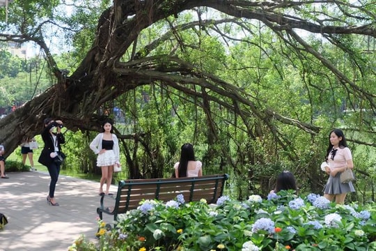 Thu Hà Nội qua từng góc phố