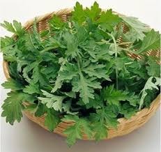 Ngải cứu - hướng đi mới trong hỗ trợ điều trị gout và viêm khớp