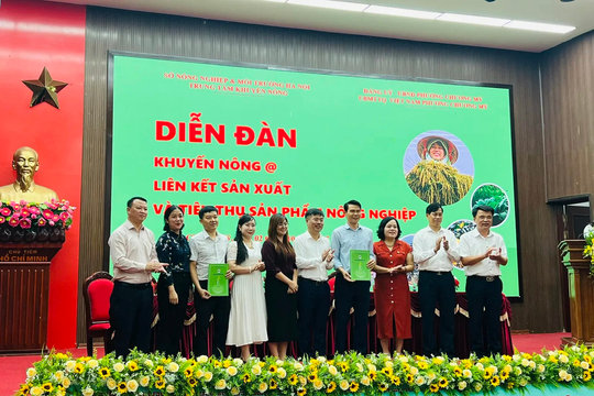 Nông sản Chương Mỹ cần liên kết tiêu thụ bền vững