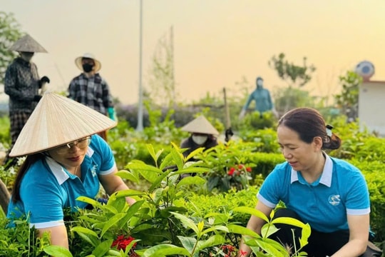 Dấu ấn phụ nữ trong hành trình xây dựng nông thôn mới