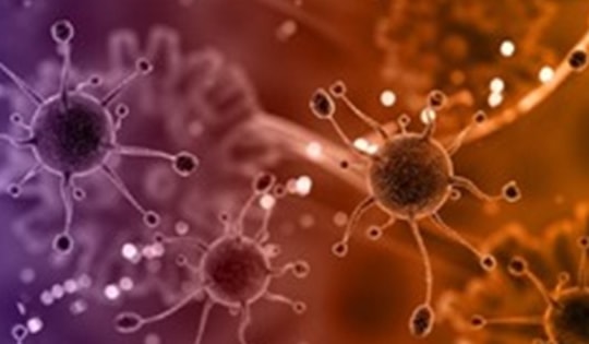 Cảnh báo về cuộc khủng hoảng ung thư toàn cầu