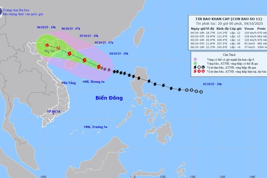 Chủ tịch UBND thành phố Hà Nội chỉ đạo khẩn trương ứng phó bão số 11