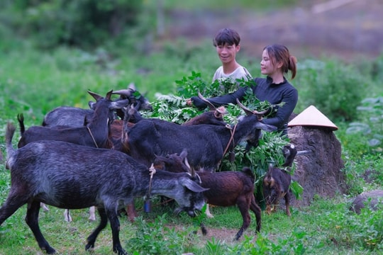 Những người hùng giữ bản và gieo mầm đổi thay đất nghèo