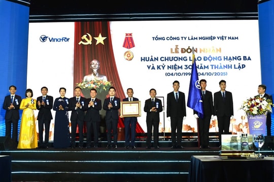 Phát triển VINAFOR trở thành tập đoàn lâm nghiệp quy mô lớn