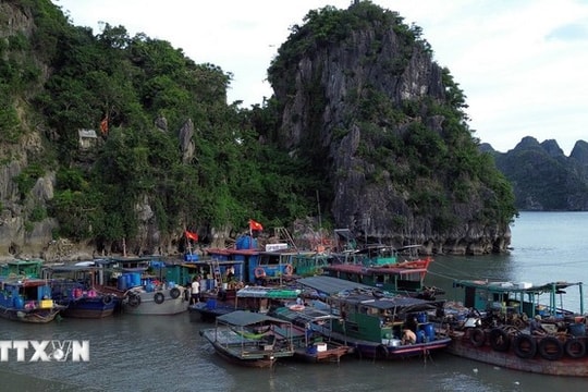 Bão số 11 sẽ ảnh hưởng mạnh, gây ngập lụt ven biển Quảng Ninh-Hải Phòng