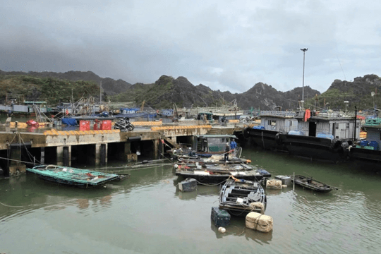 Hải Phòng, Quảng Ninh sẽ cưỡng chế tàu thuyền hoạt động ngoài khơi từ trưa 5-10