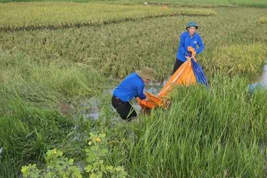 Phát huy “4 tại chỗ”, tuổi trẻ chủ động ứng phó bão lũ
