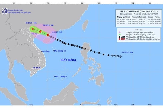 Chiều 6/10, bão số 11 trên khu vực vùng núi phía Bắc, suy yếu thành vùng áp thấp
