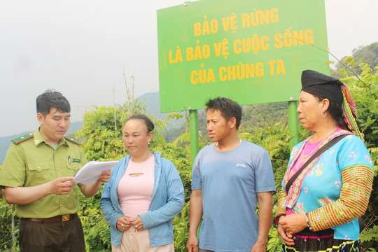 Hiệu quả từ những mô hình thực tiễn trong quản lý, bảo vệ rừng