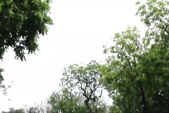 Sức hút mùa thu Hà Nội