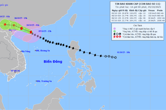 Bão số 11 tiến sát Quảng Ninh, Hà Nội chuẩn bị mưa lớn