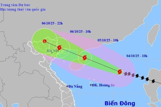 Triển khai đồng bộ các biện pháp phòng chống bão số 11