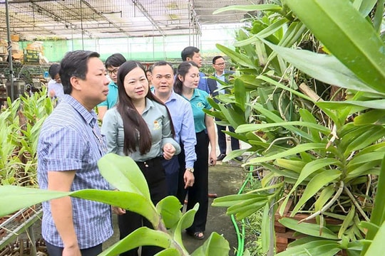 Nhiều mô hình sản xuất nông nghiệp hiệu quả ở An Khánh