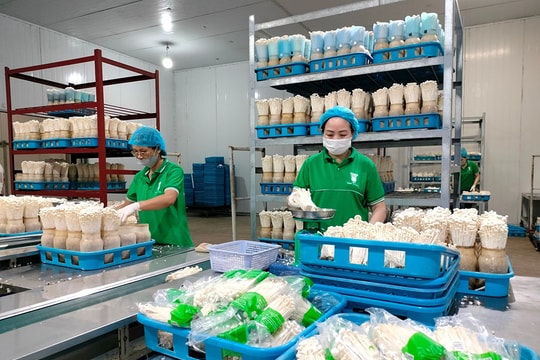 Công nghệ số - xu hướng tất yếu trong sản xuất nông nghiệp