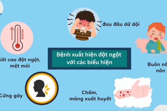 Khuyến cáo phòng chống dịch bệnh Viêm não mô cầu