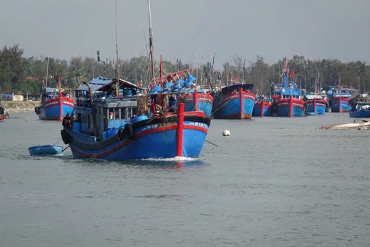 Quảng Ngãi: Chủ động ứng phó với cơn bão số 11