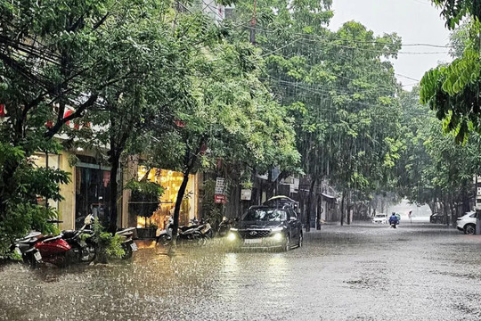 Bắc Ninh: bảo đảm an toàn đê điều trong bão số 11